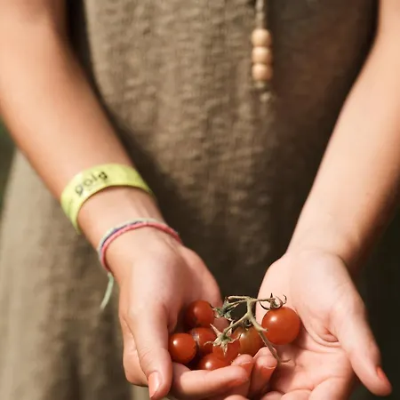 Quinta Da Carlota Bed & Breakfast Torres Vedras