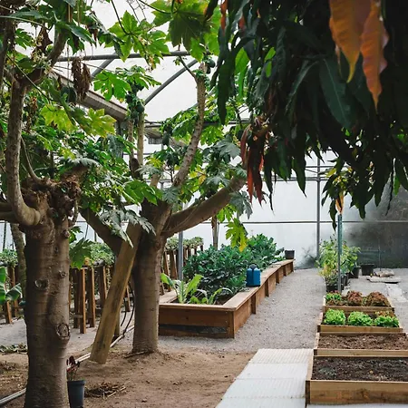 Quinta Da Carlota Nocleg ze śniadaniem Torres Vedras