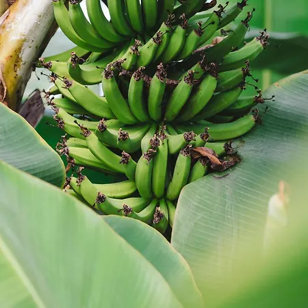 Quinta Da Carlota Nocleg ze śniadaniem Torres Vedras